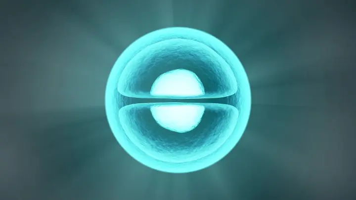 Carcinoid Tumor Explained: What You Should Know