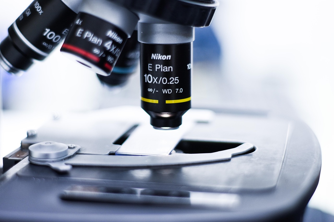 2141-V11 anti-CD40 antibody shows encouraging safety and efficacy in metastatic cancer