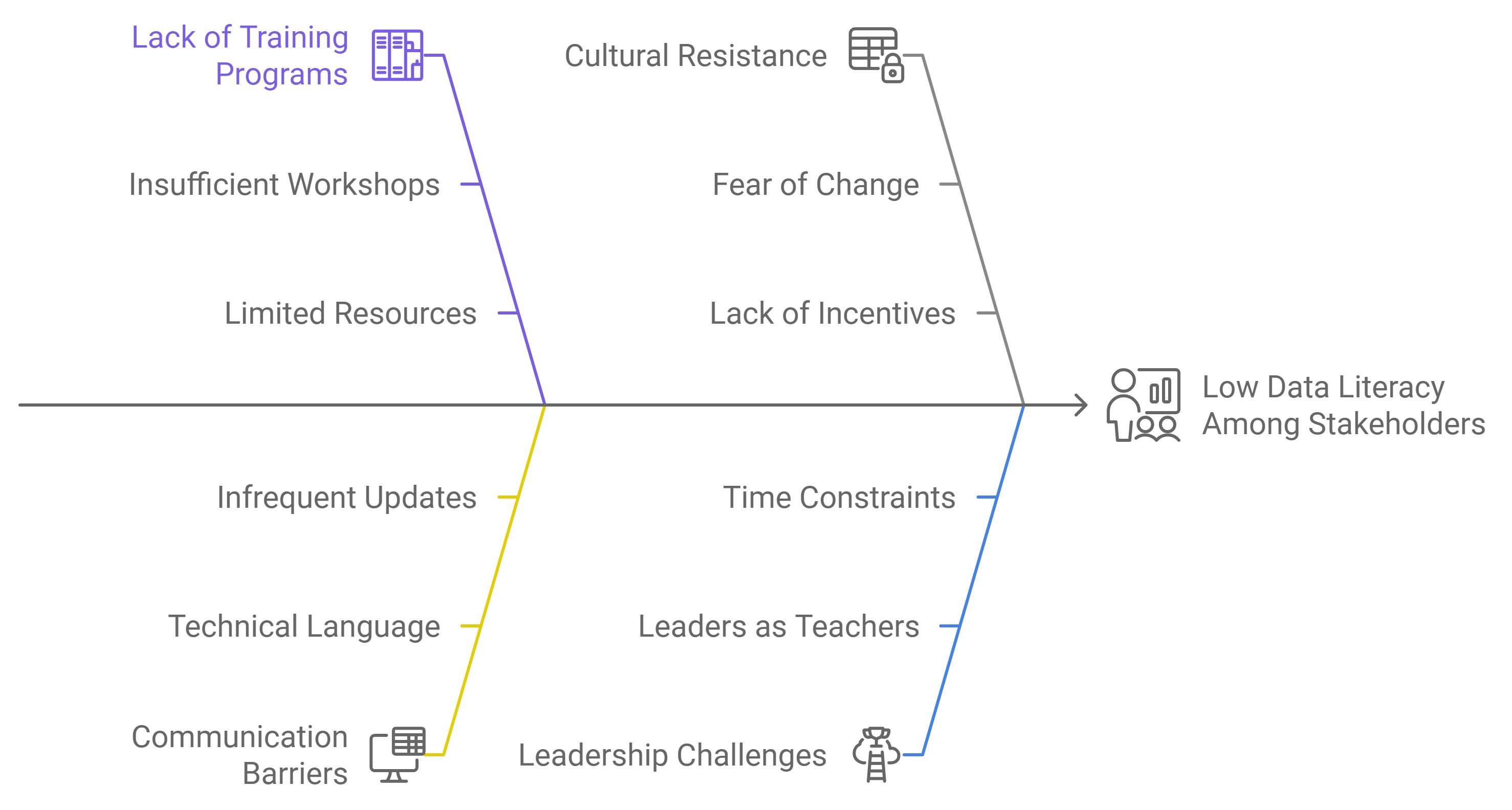 Bridging the Data Literacy Gap in Organizations