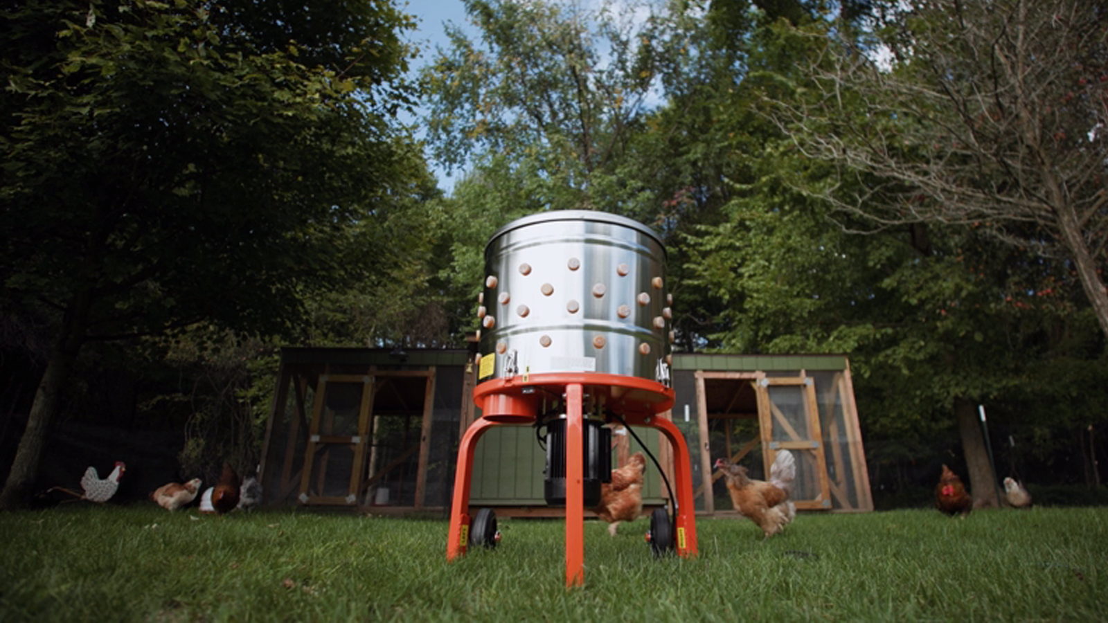 How a Chicken Plucker Works