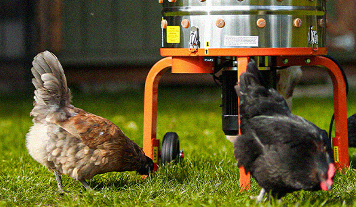 Manual Plucking Challenges