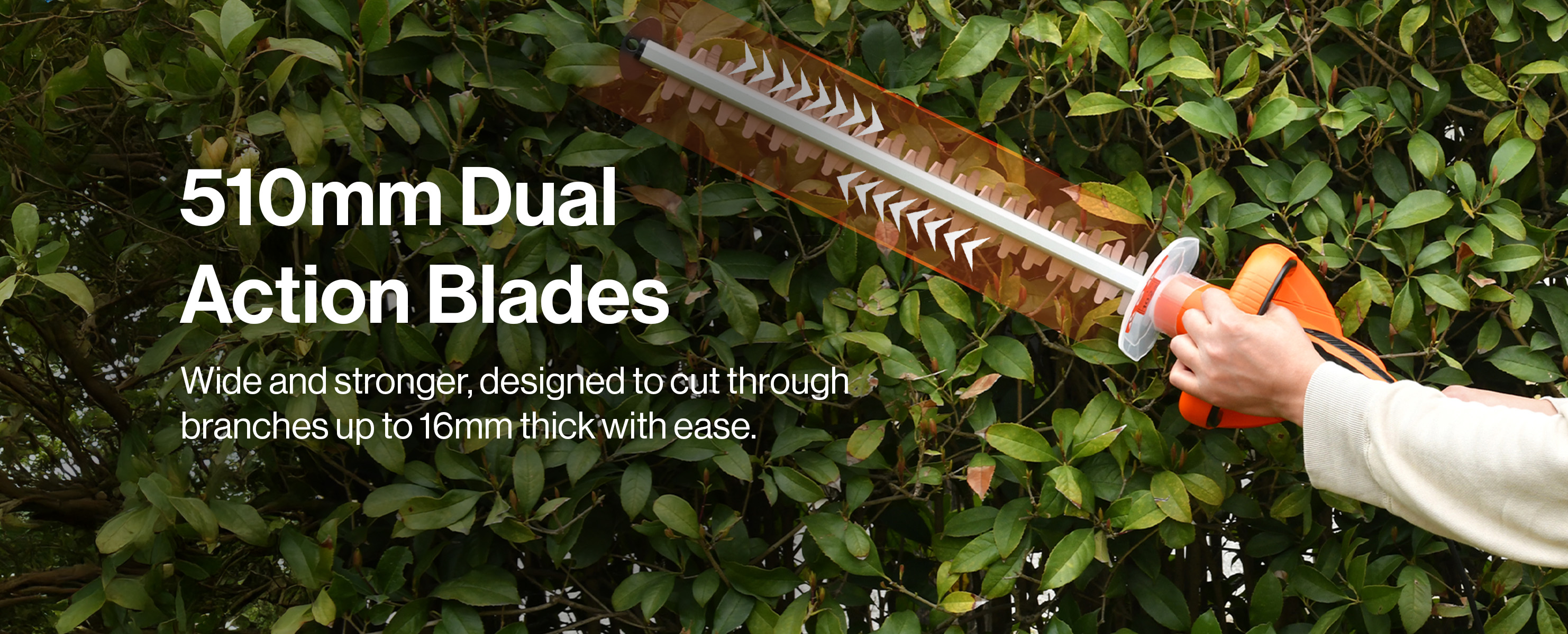 Practical Uses for the Electric Hedge Trimmer