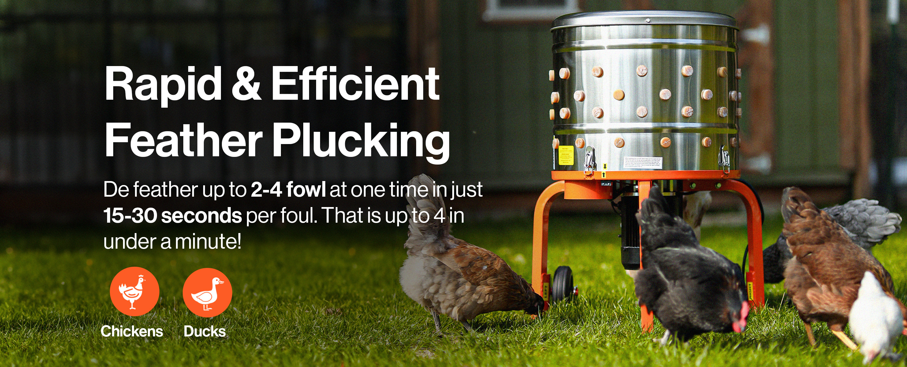 Design, Material & Durability