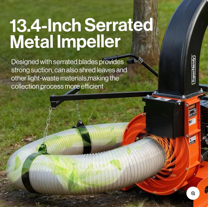 Assess Your Yard Needs