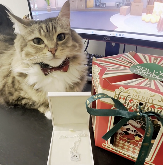 Unique Christmas Gifts for Pet Parents Who Miss Their Furry Friends