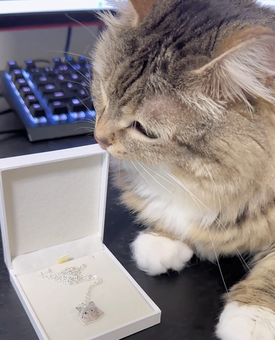 Personalization Options