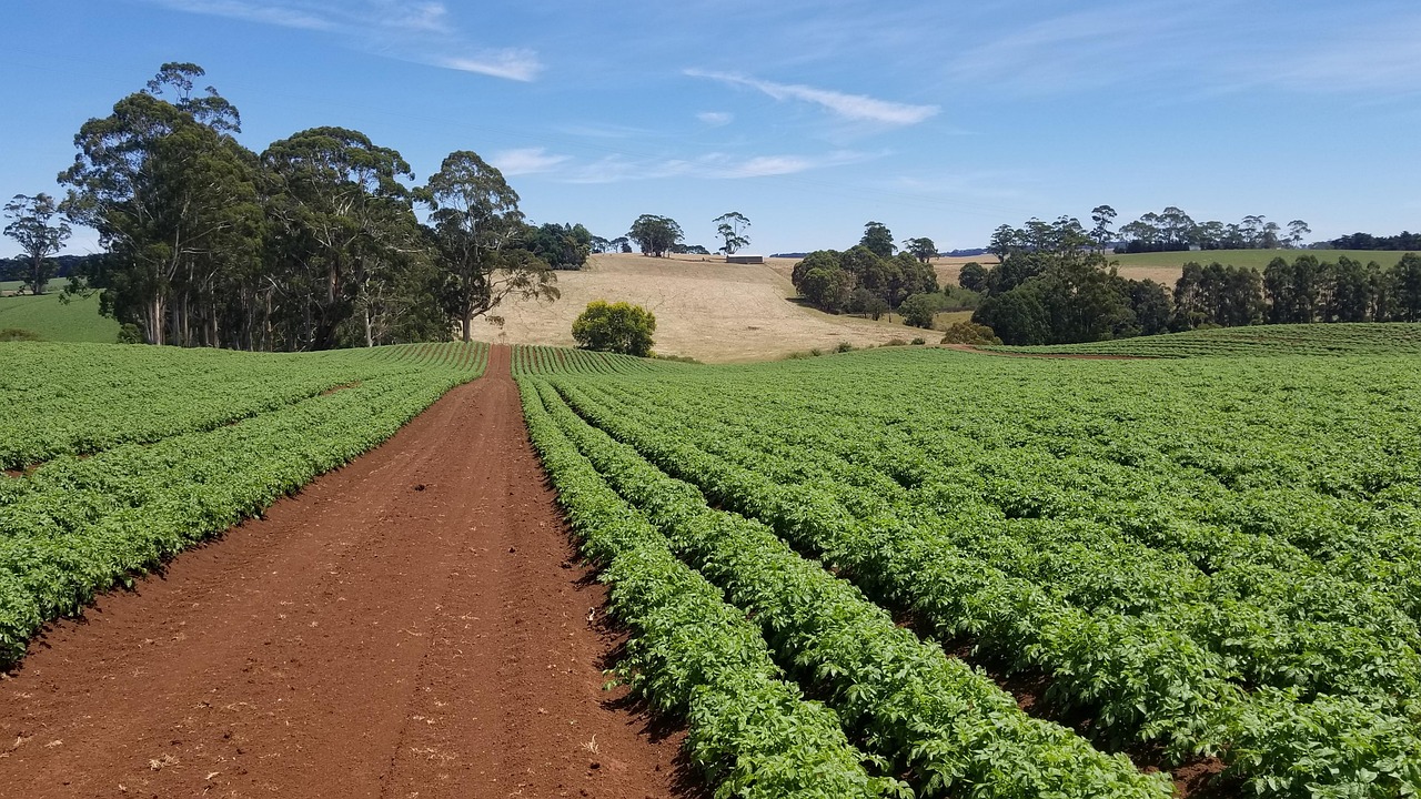 Soil Health