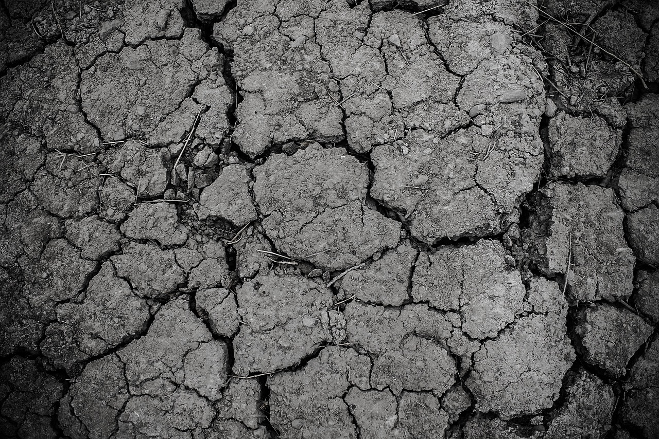 Improving Soil Health