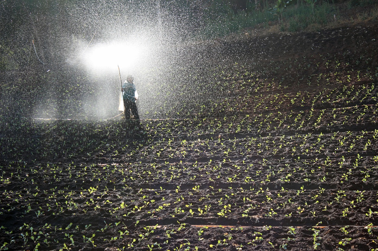 What Are Water Soluble Fertilizers