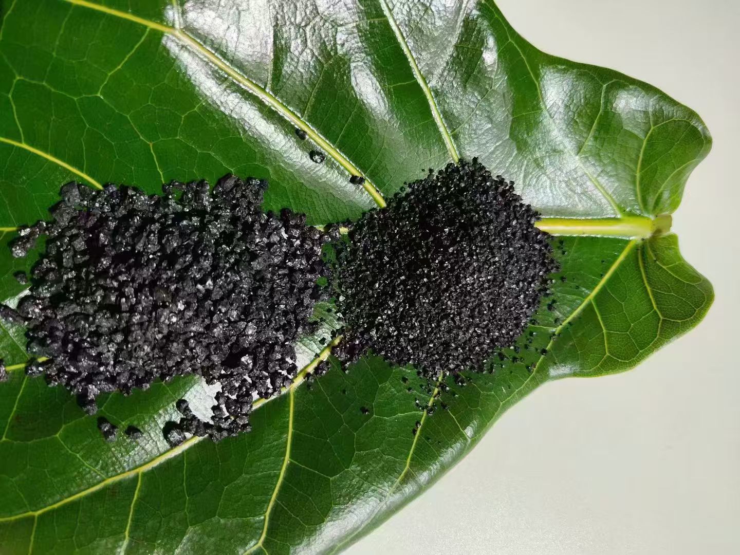 Is Humic Acid Fertilizer Better Than Chemical Fertilizer for Sustainable Agriculture