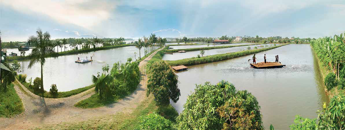 Water Quality Improvement in Aquaculture