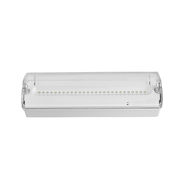 bulkhead emergency light