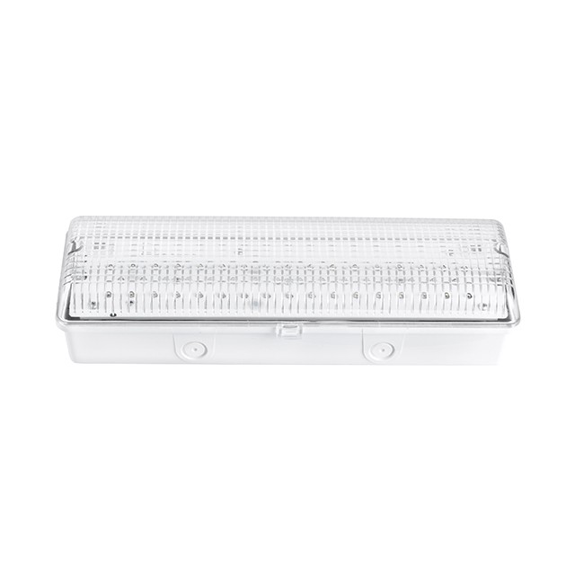 bulkhead emergency light