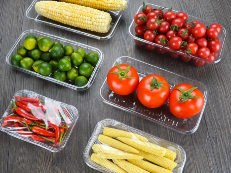 Commercial Compartment Food Container Layouts