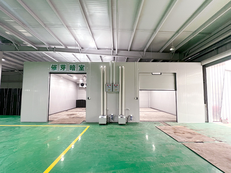 Cold Room