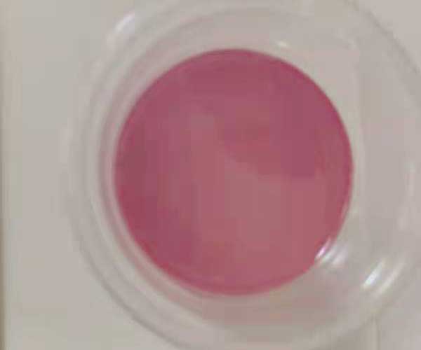 marine resin marine resin