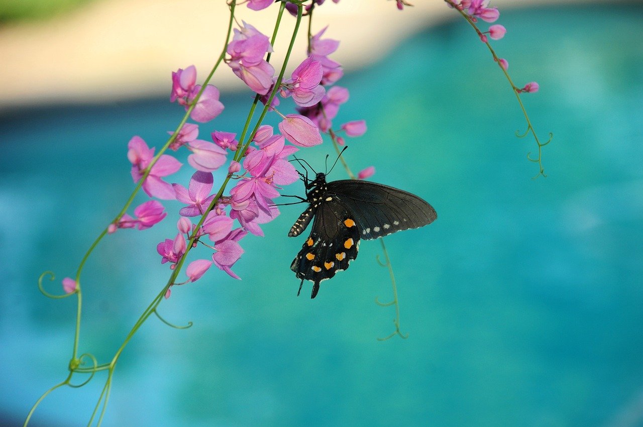 Ancestors and Ghosts: The Taoist View on Spirit Realms