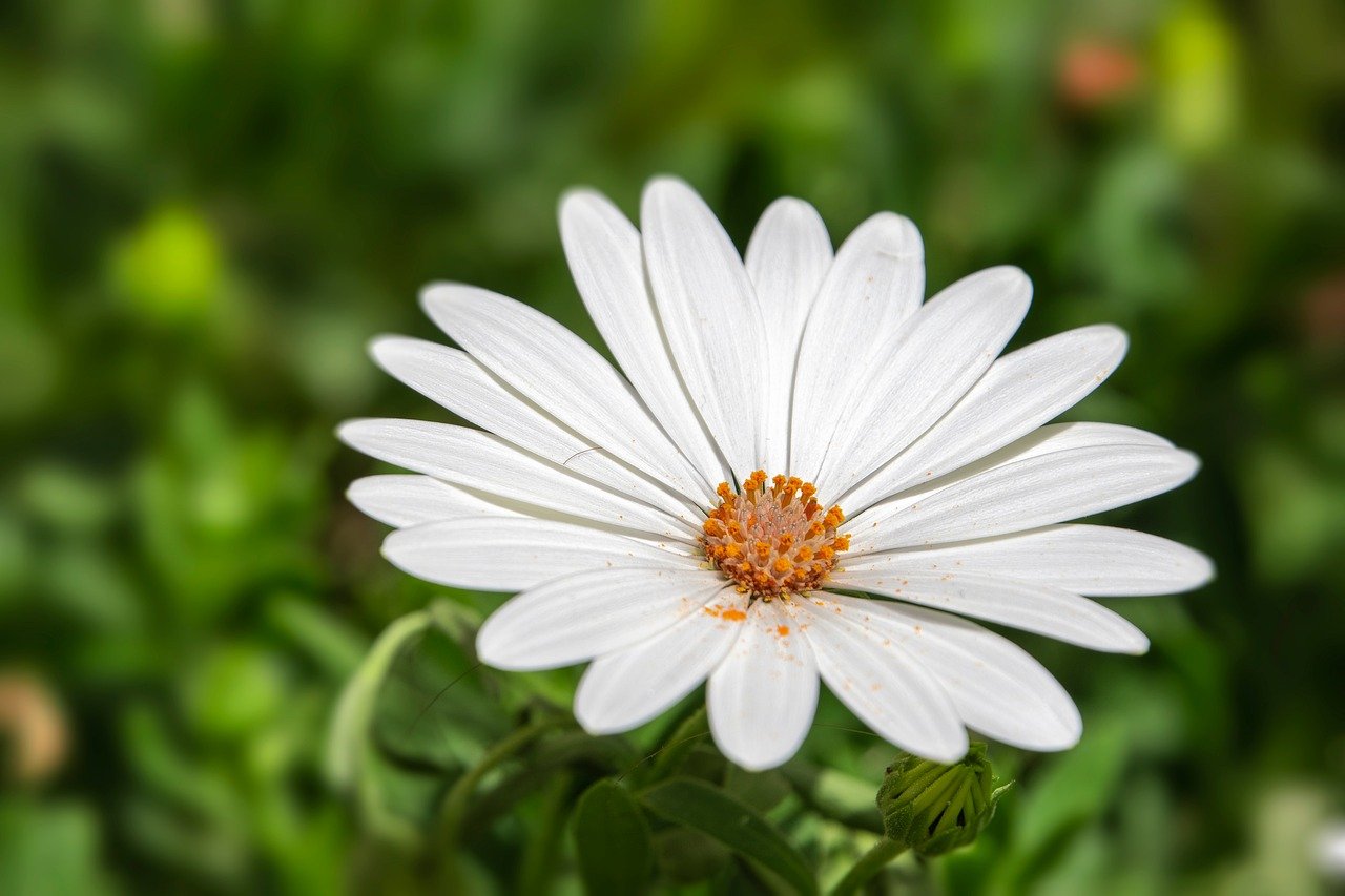 What Taoism Reveals About Love in Modern Times