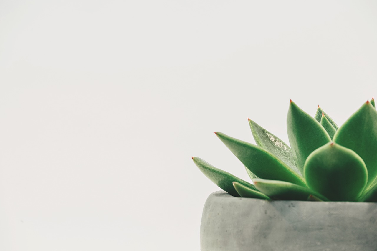 Taoism and Minimalism