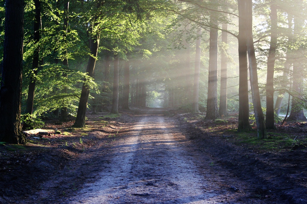 Taoism Help for Self-Discovery