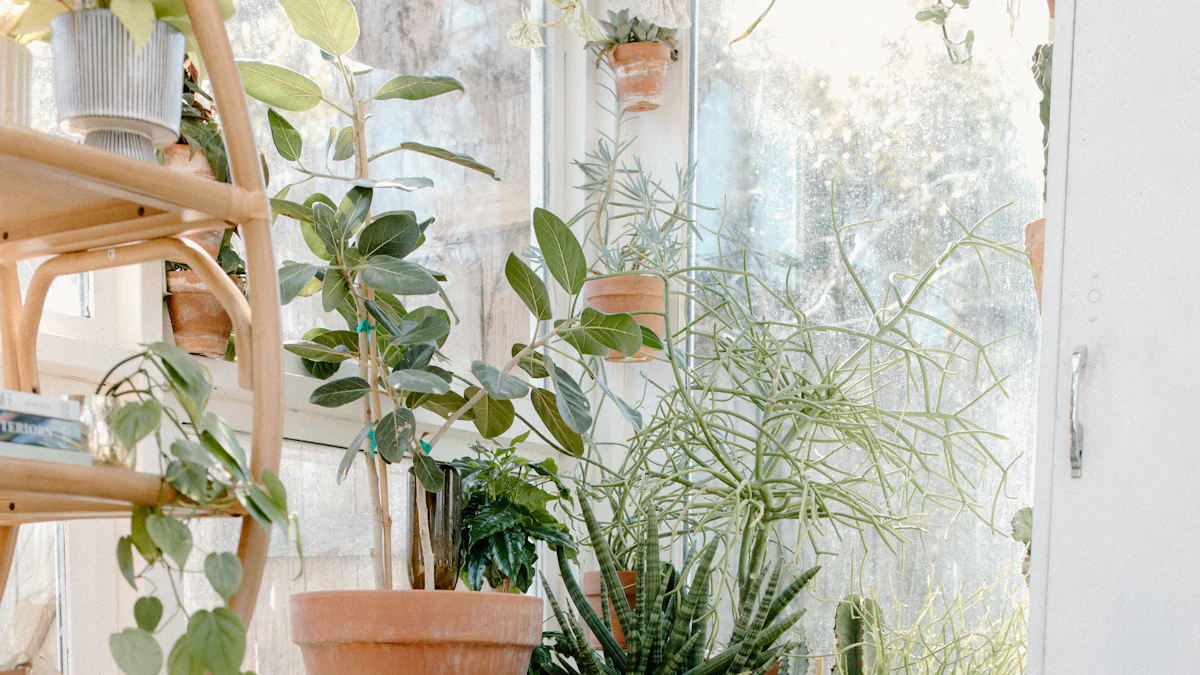 Inspirations pour une décoration zen avec des statuettes de grenouilles en yoga