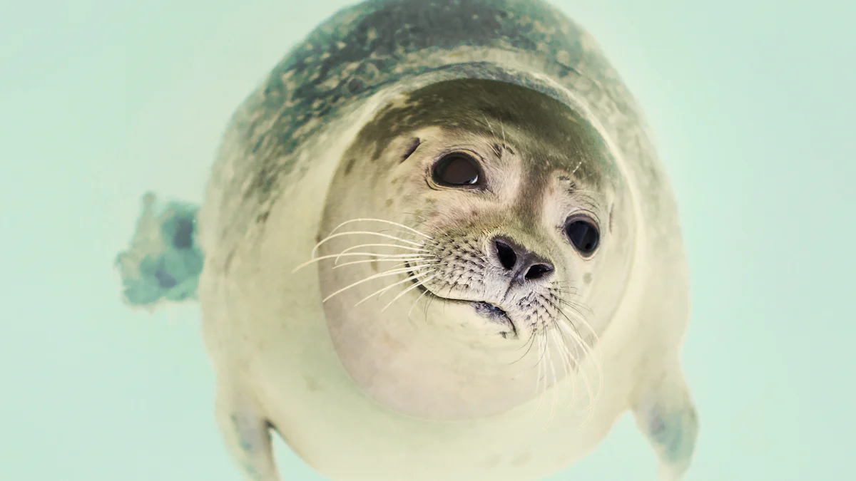 Pelúcia de foca de 16 polegadas