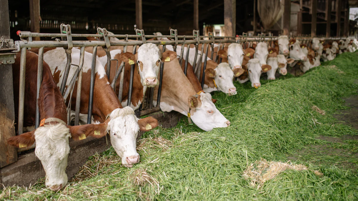 Nutritional Benefits of Dried Mealworms for Poultry and Livestock