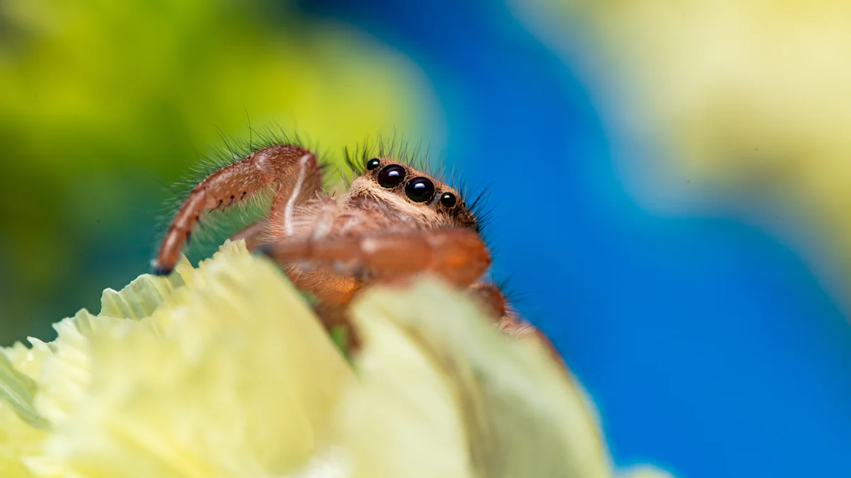 How Bulk Package Dried Mealworm Boosts Overall Animal Health