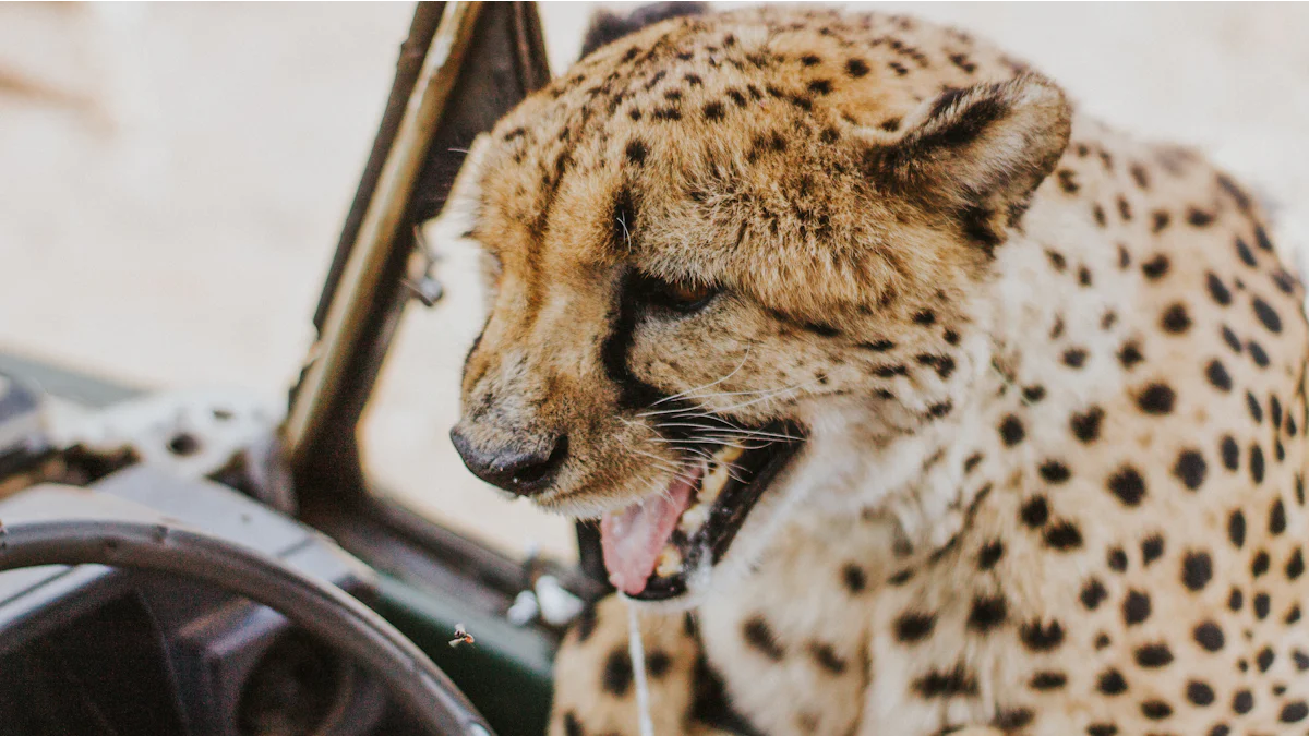 4. Hochet guépard fait main Normadot