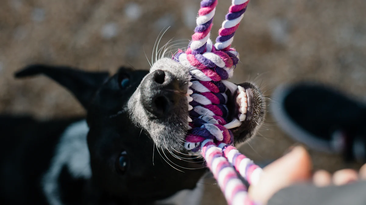 Avantages des jouets en corde pour chiens