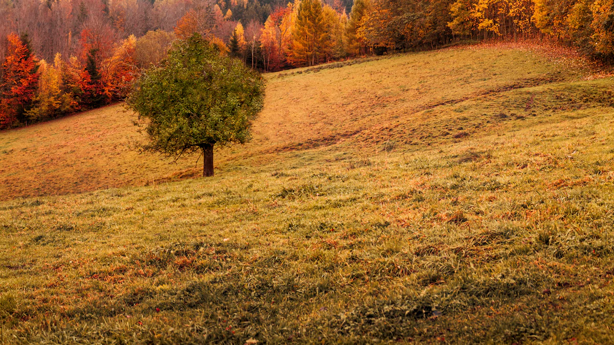 Embrace the Change of Seasons
