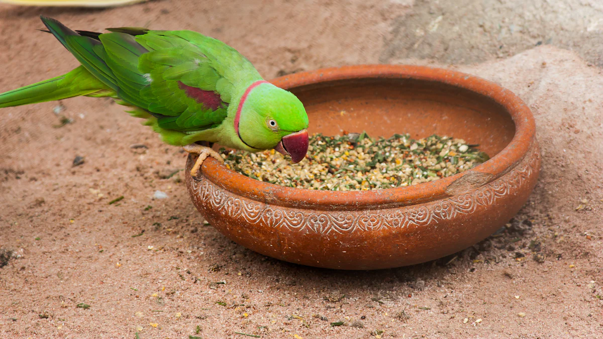 Nutritional Benefits of Dried Mealworms