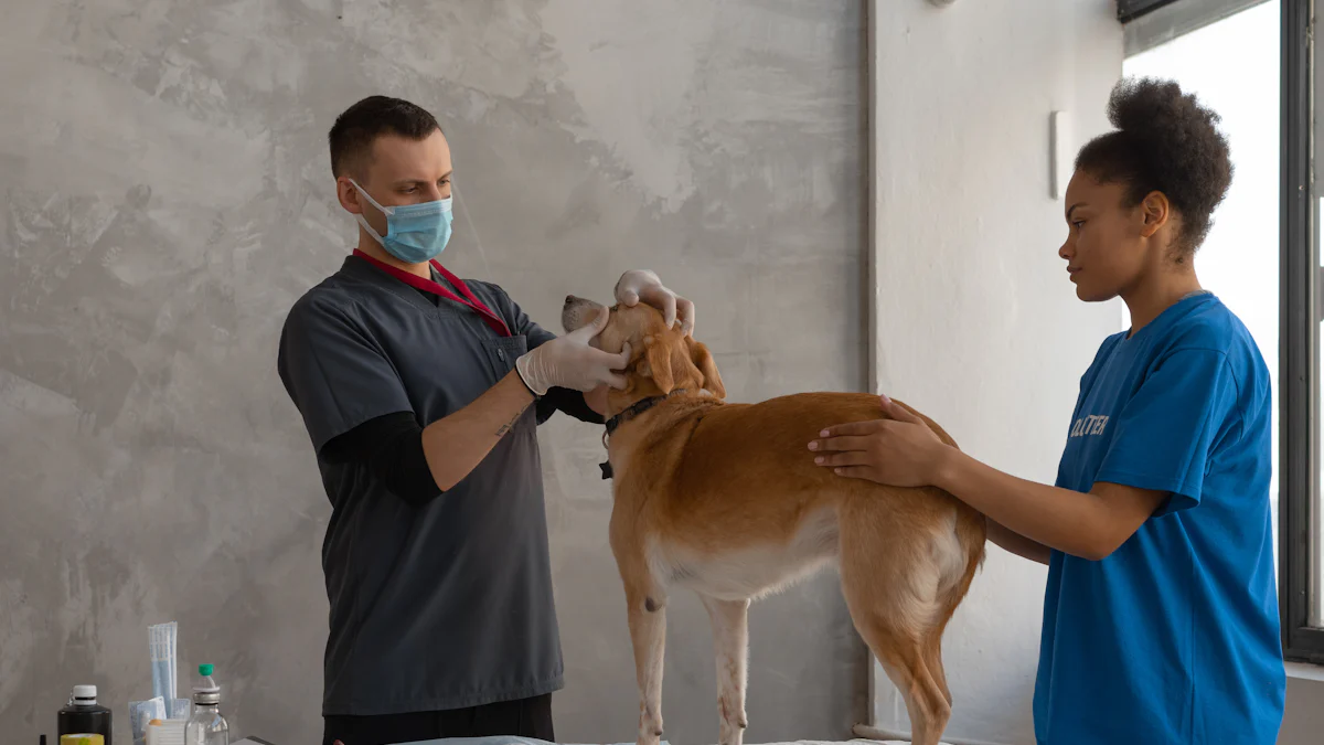 Professionalism and Appearance with Premium Veterinary Scrubs