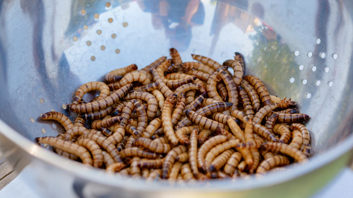 Harvesting Mealworms Efficiently