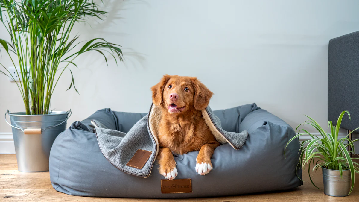 Top 5 Designer Pet Beds for Your Pup's Comfort