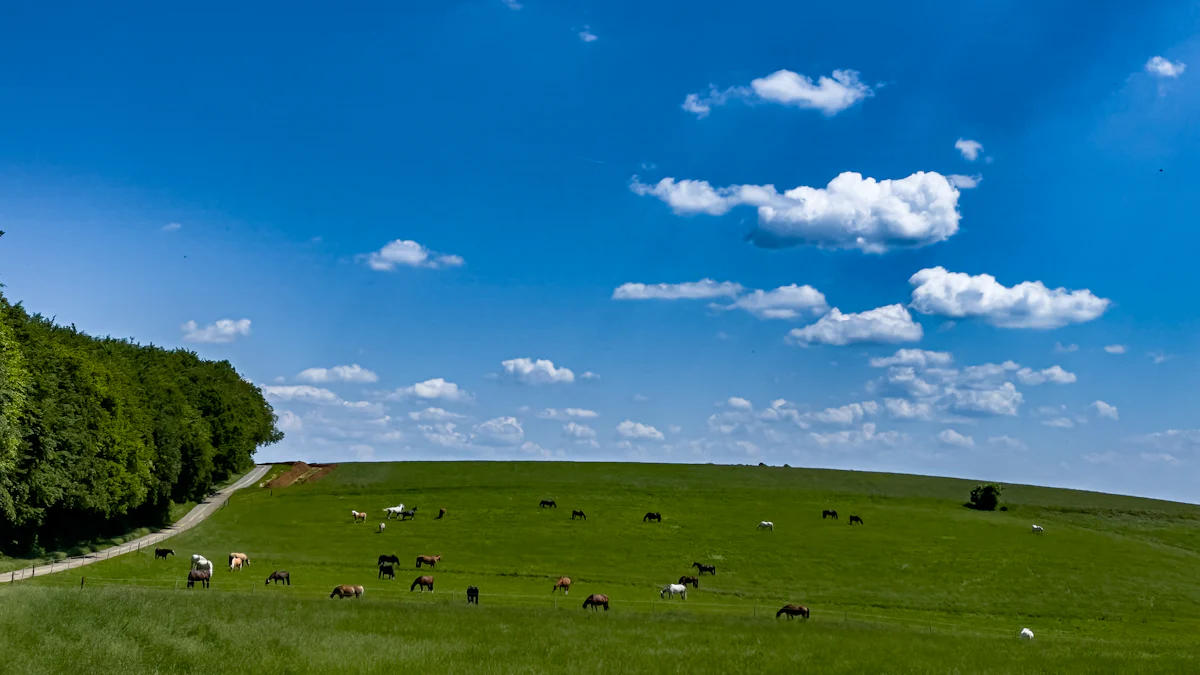 Environmental Impacts of Green Manufacturing