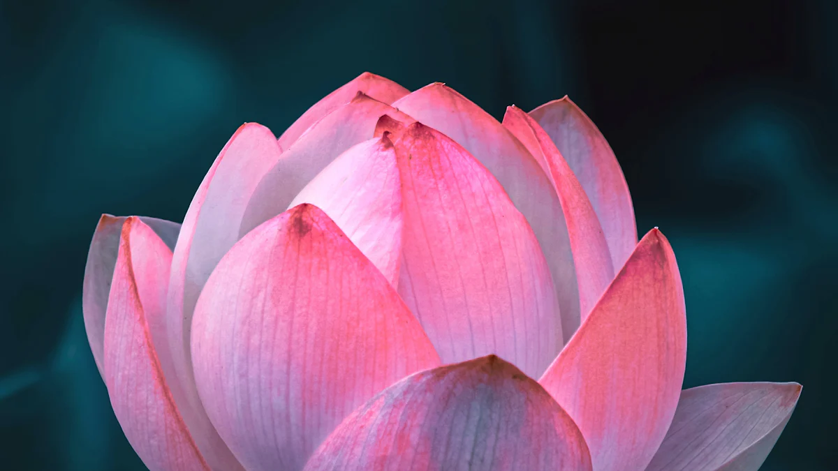 Crazy Sex Positions: The Lotus Blossom