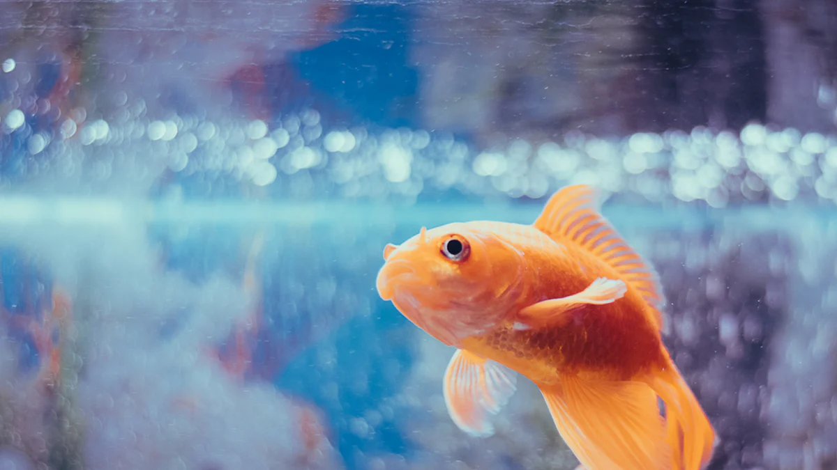 Are mealworms good for goldfish插图 Can Goldfish Eat Mealworms Safely