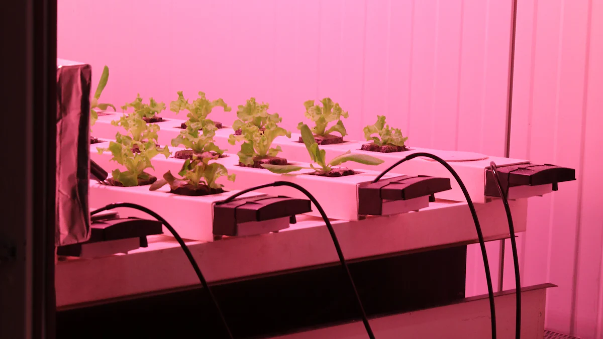 2025年选择水培植物生长灯的实用技巧