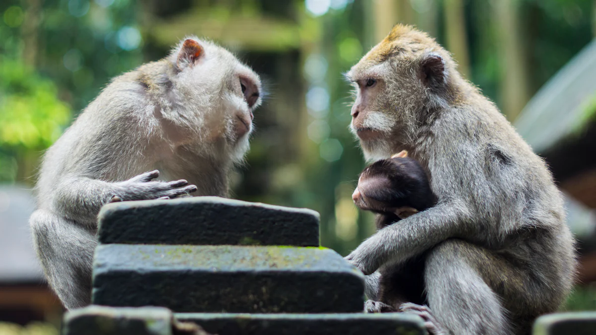 Practical Steps to Develop Telepathic Communication with Animals