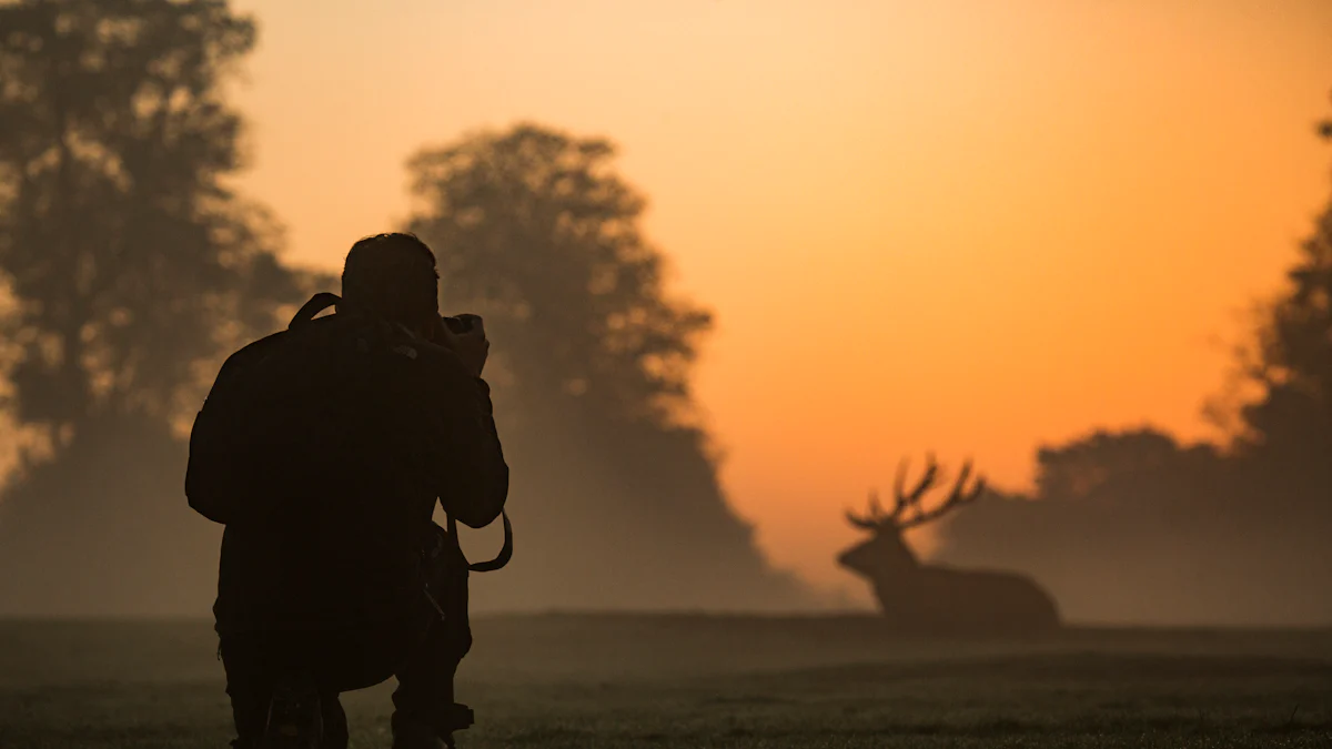 Understanding Elk Hunting