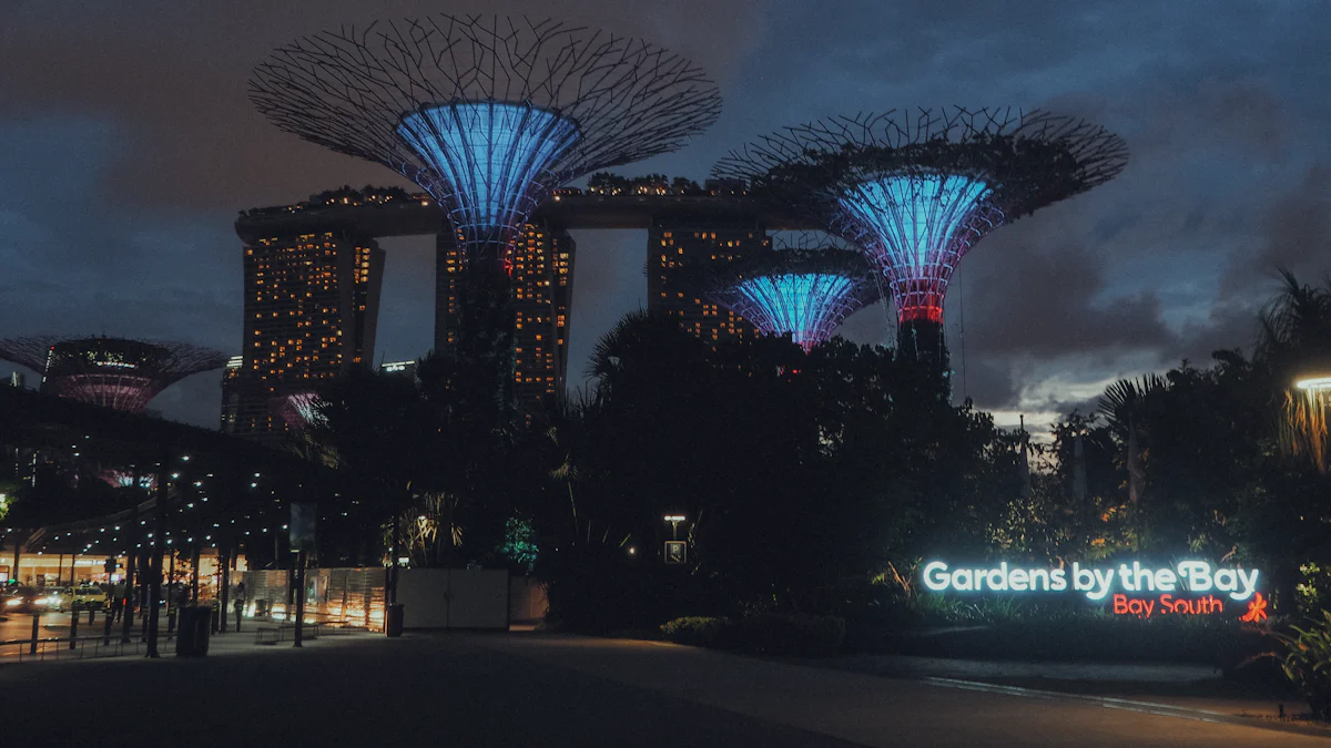 新加坡租车, 摄影爱好者, 滨海湾花园, 摩天观景轮