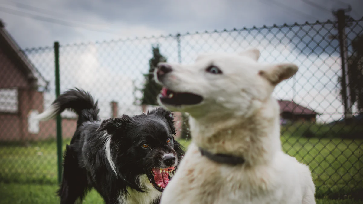 Tipos de juguetes para perros K9 Tuff Guard