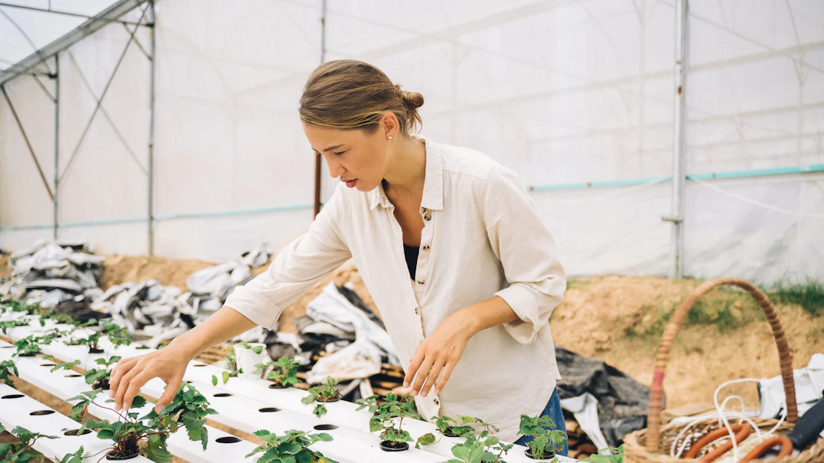 Покроковий посібник із створення гідропонного саду