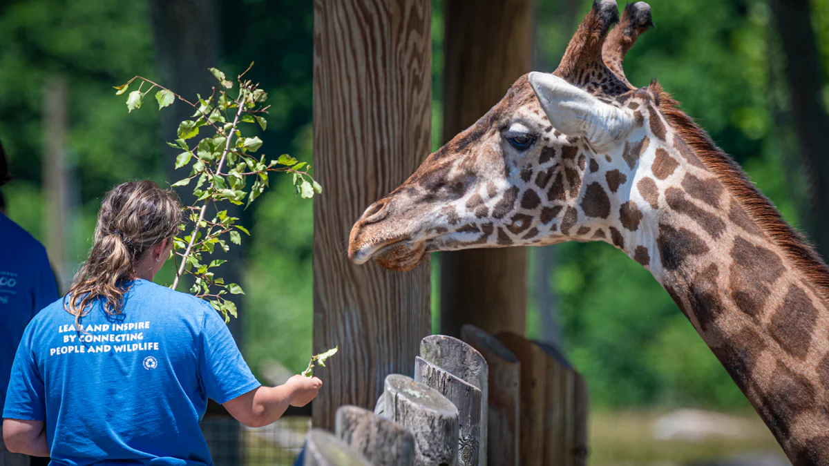 Human and Wildlife Interaction