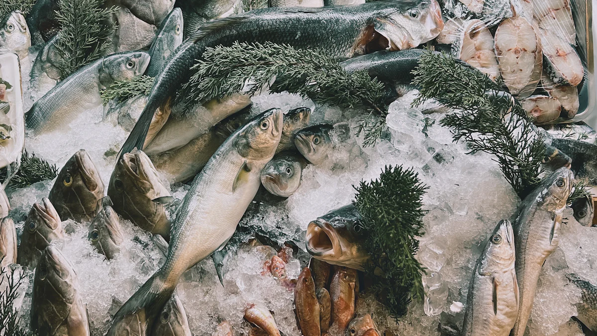 How to Preserve Tuna with the Right Freezing Machine
