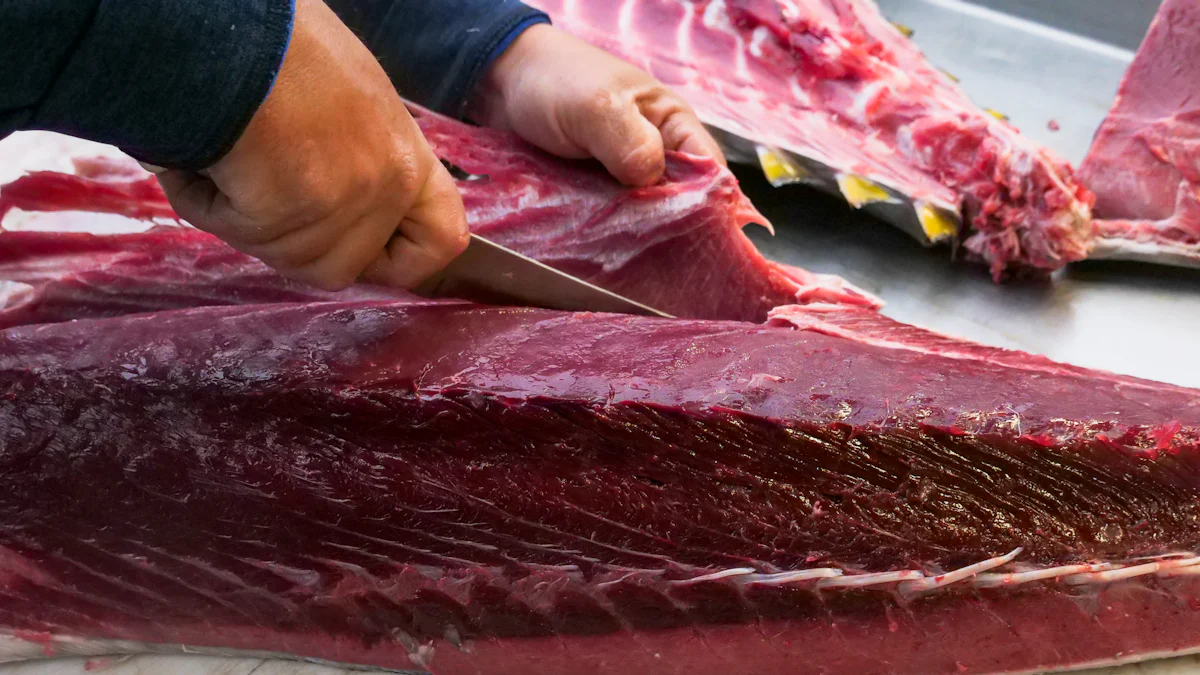 Types of Tuna Freezing Machines