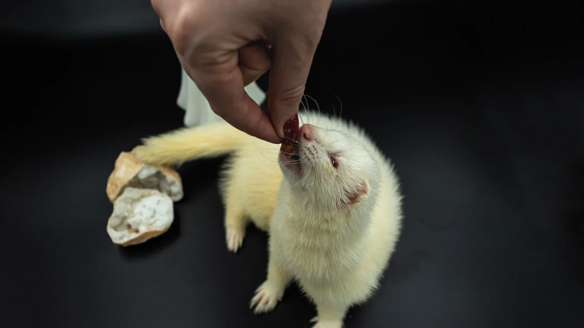 Feeding Guidelines for Sugar Gliders