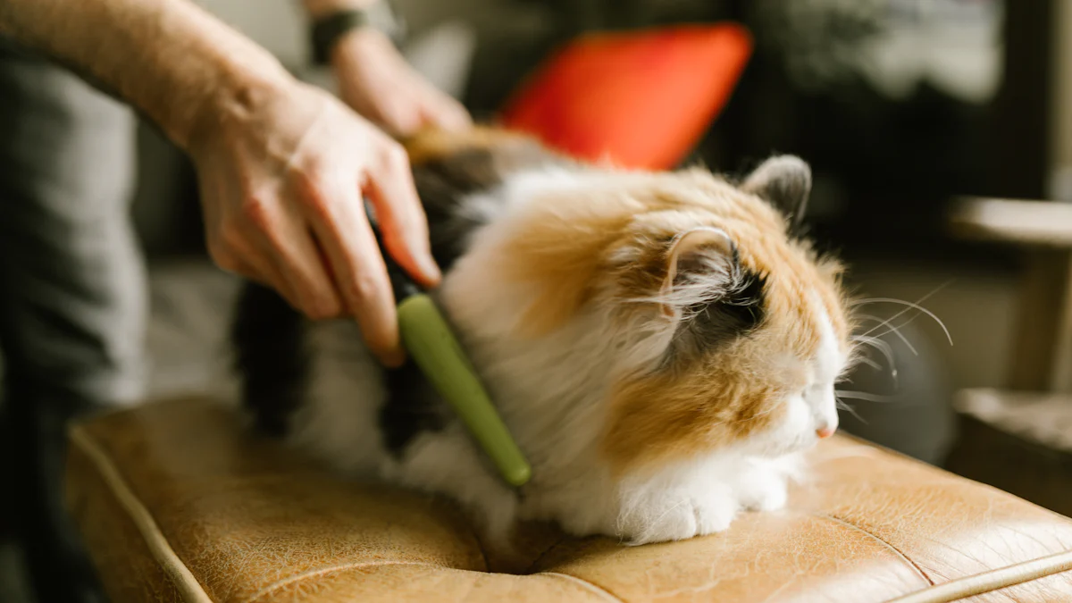 Health Benefits of Grooming Your Cat with a Comb