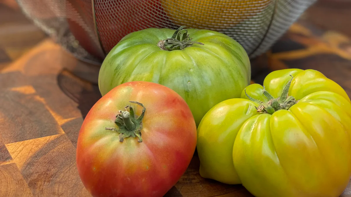 Selecting the Right Tomatoes